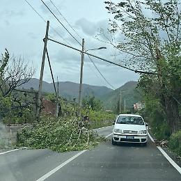 Gragnano e Sant'Antonio Abate: alberi caduti e crolli di muretti