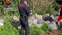 Conca di Agnano, blitz dei Forestali