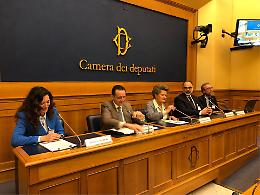 Camera dei Deputati, grande interesse per la conferenza “Parkinson, Alzheimer o... Idrocefalo Normoteso? Una patologia curabile”