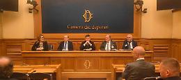 Premio Olio delle Sirene Sorrento 2025, ecco i vincitori 