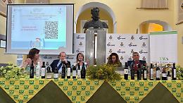 Premio Olio delle Sirene, ecco i vincitori