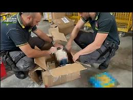  Pasta e farina per coprire traffico di droga, sequestrato carico per gli Usa
