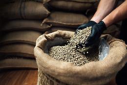 L'oro verde, scenari attuali e futuri in un mercato in evoluzione 