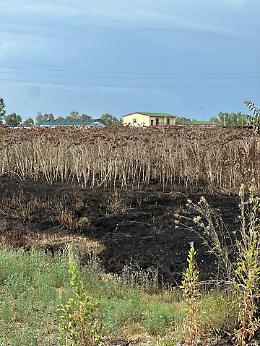 Incendio nel fondo agricolo confiscato al boss dei Casalesi