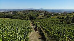Fiano Love Fest, al centro l’Intelligenza Agricola