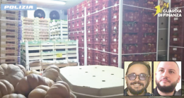 Zucche per inviare fiumi di droga, 12 arresti tra Napoli e Marano