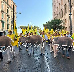 Emergenza cinghiali, arrivano i cacciatori abilitati