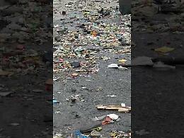 «La plastica ci invade ma nessuno ne parla», appello di Marevivo