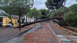 Violentissimo nubifragio sulla Romagna, allagamenti e alberi caduti