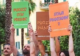 Artisti per la realizzazione di un'azione di #guerrillaplanting

 
