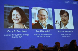 Nobel per la Medicina a Brunkow, Ramsdell e Sakaguchi: hanno scoperto la “security" del sistema immunitario