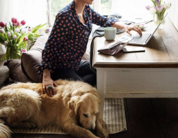 Campania, la proposta della Lega: assessorato per il benessere degli animali 