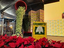 A Pompei il Congresso nazionale del Fiore, tra eventi e allestimenti artistici