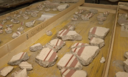 Pompei, affreschi in frantumi ricomposti da “robot intelligente” 