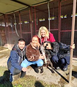 “Storie del passato, voci del presente” le autrici del libro donano i proventi al canile “Le code d’oro”