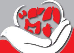 All'Istituto Salesiano “Sacro Cuore” una giornata in memoria di Alessandro Barbato