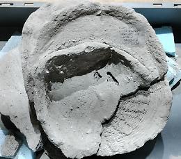 Pompei, nuove scoperte nella villa di Civita Giuliana