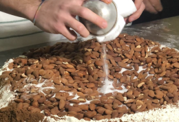 Al via la seconda edizione di RocCoc&ograve; Fest