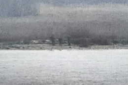 Soldati russi sconfinano in Estonia: alta tensione sul fianco Est