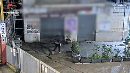 Furti in casa, decapitate sette bande di specialisti