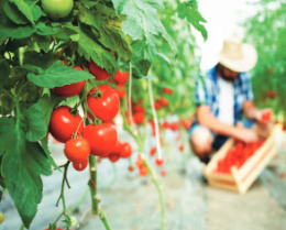Indagine sui rincari degli alimenti nella grande distribuzione