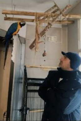 Festival degli Animali in Giallo: tra i protagonisti pappagalli e squali assassini