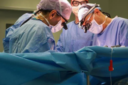 Azoto al posto del ghiaccio, salta il trapianto di cuore per un bimbo