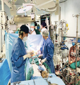 Ispettori al Monaldi e i Nas sequestrano il box del trasporto