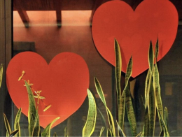 L'amore fa bene al cuore, lo dice la scienza: ecco cosa cambia se si &egrave; in coppia