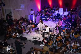 Imagine: tornano Cat Girace & The Social Guitar Project 