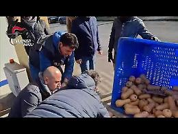 Droga a Napoli dalla Spagna, in un tir 387 chili di hashish provenienti da Barcellona