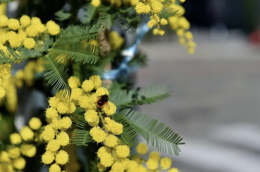 Tra parit&agrave; retributiva e inclusione sociale