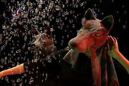 Castellammare di Stabia Rosaluna e i lupi: una favola sul coraggio di essere liberi