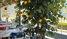 I sapori di Stabia approdano sulla tavola