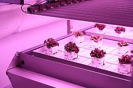 Dimostratore Arca a Napoli: &laquo;Hub unico in Europa, ospiter&agrave; 200 ricercatori&raquo;