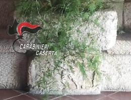 Sarcofago romano nel muro di un ristorante, scatta il sequestro
