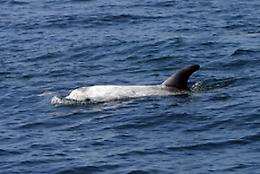 Da Sessa Aurunca a Sapri la grande rivincita del mare