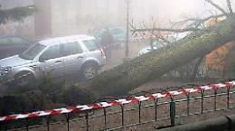 Maltempo, due morti in Toscana <br>e Marche