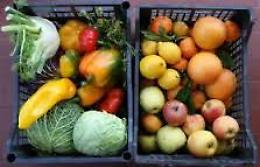 Clan D'Alessandro controlla il business della frutta: due fermi