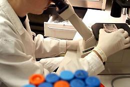 Entrare nelle cellule e riprogrammarle: la nuova strada contro il cancro