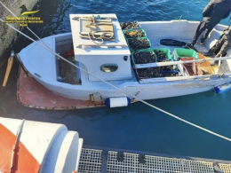 Pesca di frodo nel porto, Finanza sequestra 400 chili di cozze