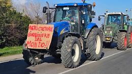 Agricoltori campani, costi aumentati del 200%