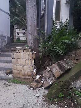 Cimitero di Poggioreale, crolla muretto di cinta: pino secolare a rischio caduta