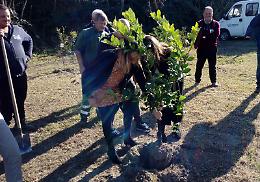“Boschetto della vita" nel parco urbano di Pozzuoli