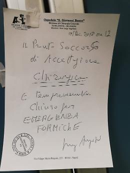 Pronto soccorso chiuso per formiche: manager Asl presenta esposto a Nas