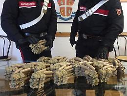 Centinaia di "rendini" nel furgoncino, arrestato incensurato