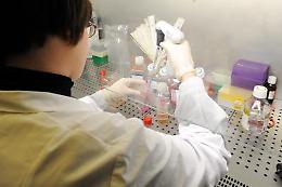 Aids, ecco l'arma made in Italy