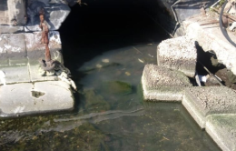 Mergellina, nuovo sversamento sospetto in acqua