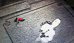 Furto in pizzeria, ladro incastrato dalle telecamere VIDEO