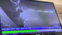 In dieci minuti svaligiano bar e farmacia, il video choc